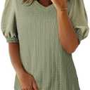 SHEWIN Women's Summer Tops V Neck Casual Puff Short Sleeve Textured T Shirts Blouses L