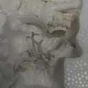 DN DECONATION 2pcs White Christmas Reindeer Statue, Indoor Reindeer Decor, Tabletop Resin Deer Figurine