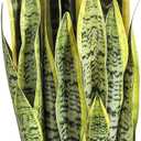 Artificial Snake Plant 26 inches Fake Sansevieria Artificial Potted Plants for Indoor and Outdoor, Home, Office Decoration (Light Green)