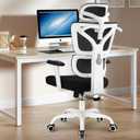 Winrise Office & Gaming Chair, High Back Ergonomic Reclining Desk Chair, Big & Tall, Comfy Home Office, Breathable Mesh, Adjustable Armrests (White)