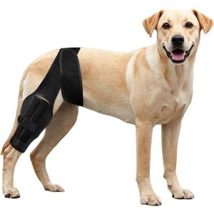 Dog Knee Brace for ACL Tear Adjustable ACL Knee Brace for Dogs Front or Rear Leg, Hip Dysplasia, Arthritis, Ligament Injuries Leg Support Brace for Canine Recovery (M)