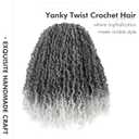 Toyotress Yanky Twist Crochet Hair - 14 Inch 8 Packs (30 Strands/Pcs) Fluffy Spring Mini Twist Short Bob Passion Twist, Ombre Gray Pre-Looped Crochet Braids Braiding Hair (14 Inch, T-Gray-8P)