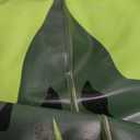 Pool Floats Kids, Watermelon Pool Float, Fun Pool Floats, Ride On Pool Float, Swimming Water Toy, Rideable Blow Up Summer Beach Swimming Party, Toys for Kids Adults