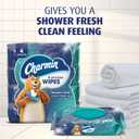 Charmin Flushable Wipes, 160 Total Wipes (4 Packs of 40)
