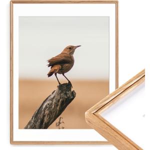 18 x 24 Poster Frame, Natural Solid Oak Wood Picture Frame with High Tempered Glass, Handcrafted Rounded Corner 18 by 24 Wooden Frame Matted to 16x20 Photo for Horizontal or Vertical Wall Mounting (18x24, 1 Pack)