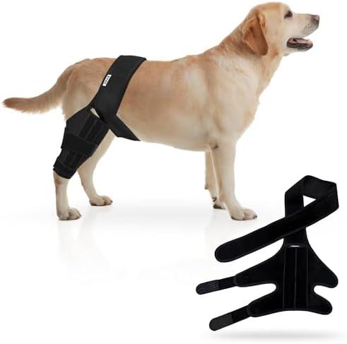 YSPet Premium Adjustable Dog Knee Brace for Torn ACL - Superior Support: Hip Dysplasia Brace & Hind Leg Braces for Medium Dogs; Back and Hip Brace for Canine Recovery. M