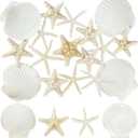 peony man 16 Pcs Natural Scallop Shells and Starfish 5 Inch White Sea Shell for Crafts and 3.5-4 Inch Beach Starfish for Beach Theme Wedding Party Home Decorations Fish Tank Vase Filler DIY Crafts
