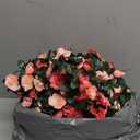 Miracliy 16 Pack 131 FT Flower Garland Decorations Plastic Artificial Flowers for Wedding Decoration Photo Booth Backdrop (Pink)