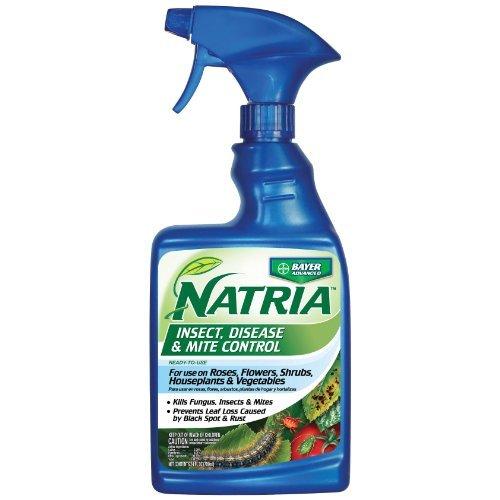 Insct&Disease Cntrl24oz
