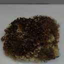 FLUFYMOOZ Clip in Hair Extensions, 20" 4PC 100 Pure Protein Silk Hair Extensions for Black White Women Long Soft Curly Hair Extension Hairpiece(Medium Brown with Blonde Highlight)