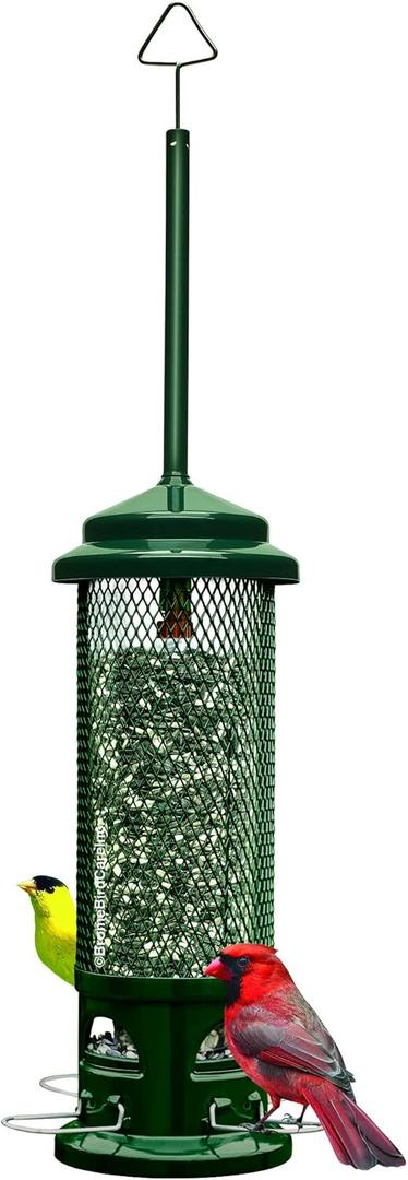 Squirrel Buster Legacy Squirrel-Proof Bird Feeder for Wild Birds – 4 Metal Removable Perches, 2.6 lb Seed Capacity, Chew-Proof Design, Easy to Clean, Green