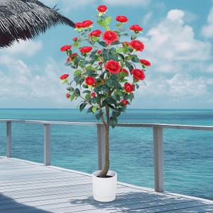 Artificial Camellia Tree 6FT – Nearly Natural Faux Plants Indoor, with Easy Assembly, Low Maintenance, Ideal for Both Indoor Decoration and Other Purposes，Perfect Porch Christmas Trees (Red 6ft)