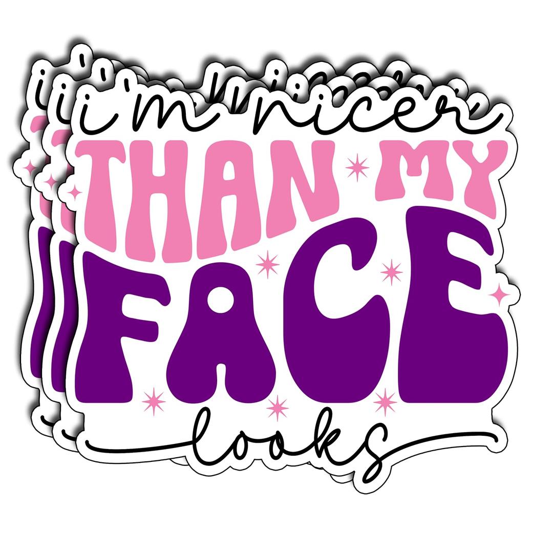 2 x (3PCS) I'm Nicer Than My face Looks Sticker. Funny Inspired, Inspirational Motivational Gifts, Waterproof Vinyl Decal for Water Bottles, Laptops, Phones, Tumblers, Size 3 x 2,5 Inch