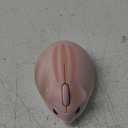 2.4GHz Wireless Mouse Cute Hamster Shape Less Noice Portable Mobile Optical 1200DPI USB Mice Cordless Mouse for PC Laptop Computer Notebook MacBook Kids Girl Men Women Adults Gift (Pink)