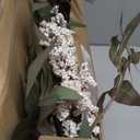 Zeyune 3 Pcs Artificial White Berry Stem 35 Inch Spring Faux Flowers Picks Branches Fake Realistic Sedum Stem Spray for Wedding Holiday Seasonal Farmhouse Mantel Harvest DIY Home Decorations