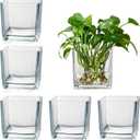 Set of 6 Square Glass Vases for Centerpieces 4" x 4" x 4" Clear Short Vases, Flower Vase, Plant Terrariums, or Candle Holders for Wedding Centerpieces, Office Decor, Home Dcor, Parties