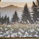 Large Mountain Sunlight Calming Framed Canvas Wall Art Set,Boho Nature Pine Tree Landscape Wall Decor,Modern Sunrise Forest Art Printing for Living Room,Bedroom-24 x36 x3