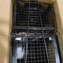 2-Pack Rat Traps Humane Live Mouse Vole Chipmunk Trap Cage for Indoors and Outdoors (Black)