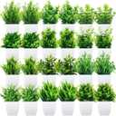 Tigeen 24 Pots Small Fake Plants Mini Eucalyptus Potted Artificial Plants Greenery Eucalyptus Rosemary Gladiolus Magnolia Aloe Faux Plants for Home Indoor Room Decor (Stylish Style)