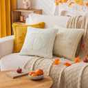 Cream White Pumpkin Fall Pillow Covers 20"x20" Set of 2, Embroidered Faux Fur Decorative Throw Pillow Covers for Couch Soft Fluffy Plush Cushion Cases for Farmhouse Halloween Home Decor