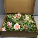 SOMYTING Artificial Flower Garlands Eucalyptus Garlands with Flowers Rose Peony Flower Vine Faux Floral Garland for Wedding Party Arch Table Wall Backdrop Decoration (Light Pink, 4PCS)