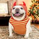 Small Dog Costume Frenchie Clothes Shirt, Halloween Dog Costume French Bulldog Clothes Hoodie Sweatshirt, Puppy Funny Pet Costumes Tank Top All Season Daily Wear,Red Bull,M