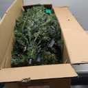 Annecy 6Ft Pre-Lit Artificial Full Christmas Tree, Green