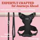 rabbitgoo Cat Harness and Leash for Walking, Escape Proof Soft Adjustable Vest Harnesses for Cats, Easy Control Breathable Reflective Strips Jacket, Black, M