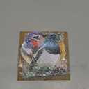 HUYIENO 5PCS Vivid Metal Birds Fence Decor Color Painted Outdoor Garden Natural Bird 2D Sculptures for Outdoor Fences, Patio, Garden and Bird Lovers