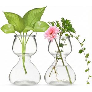 Garden Guru Plant Propagation Stations - Clear Glass Bud Vases Set of 2 - Mini Vases for Wedding Centerpieces, Cafe Dcor, Tea Shop Displays - Small Hydroponic & Flower Vase