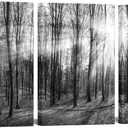 LevvArts Canvas Wall Art Black and White Forest Picture Art Prints Winter Sunrise Nature Landscape Painting for Bedroom Living Room Office Wall Decor