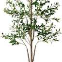 Olive Tree, 6FT Tall Faux Olive Tree with Moss and Planter, Olive Trees Artificial Indoor with Realistic Wood Trunk and Lifelike Fruits, Fake Olive Tree for Home Office Living Room Decor