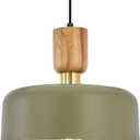 Contemporary Pendant Lighting,12 inch Pendant Lamp,Wood and Brass Accent,Adjustable Metal Hanging Light Fixture for Kitchen, Dining Room, Green
Visit the TeHenoo Store