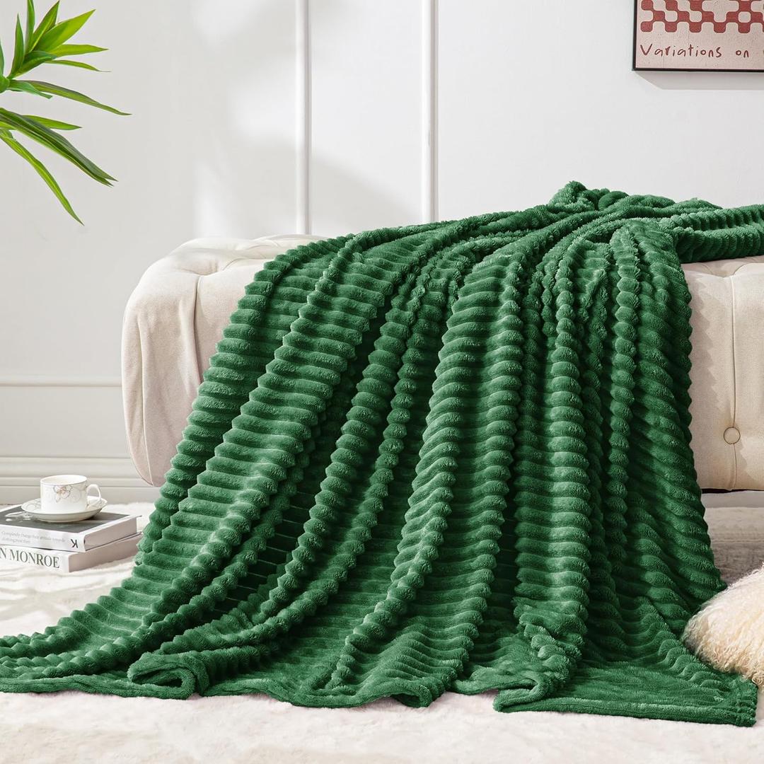 BEDELITE Fleece Throw Blanket for Couch 3D Ribbed Jacquard Soft and Warm Decorative Fuzzy Blanket Cozy, Fluffy, Plush Lightweight Green Throw Blankets for Bed, Sofa, 50x60 inches