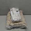 Sunbeam King Size Electric Blanket Mushroom Color