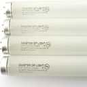 F40T12/D (4 Pack) 4ft Fluorescent Tube Light Bulb 40W 40 Watt Daylight T12 F40T12 6500K 1.5 inch Diameter Replaces F40DX F40T12/865/ECO F40SP65/ECO F40DX/ALTO F40/LR/ECO/2P F40T12/DX (4)