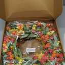 26" Floral Wreath, Artificial Spring Wreaths for Front Door, with Wildflower Portulaca Flowers, Indoor Outdoor Porch Window Wall Home Decor for Valentines Day Easter, Summer & Wedding Orange