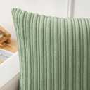 Kevin Textile Spring Pillow Covers 24x24 Set of 2 Spring Decorations Soft Plush Corduroy Chic Cushion Covers for Bedroom, 24 x 24 inch, Sage Green