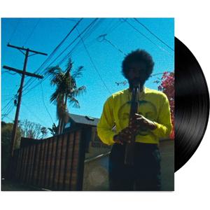 Moving Day, Vinyl