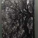 Black White Big Tree Bathroom Canvas Wall Art -Large Nature Tree Art Wall Decor Framed for Office Bedroom Living Room-20"x40"