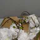 IPOPU 40.16" White Orchid Artificial Flowers 5PCS Fake Orchid Long Stems Phalaenopsis Branches Real Touch Silk Orchids for Vase for Bridal Shower Home Party Wedding Decoration (White)