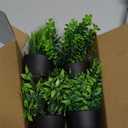 Der Rose Fake Plants 4 Packs Artificial Plants Small Faux Plants Black Bathroom Accessories for Halloween Bathroom Home Kitchen Coffee Table Office Desk Decor Indoor (Green)