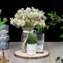 8 Pieces of 10-11 Inches Wood Slices for Centerpieces,Wooden Slices for Table Top,Wooden Slabs for Crafts,Round Wood Splices for Wedding Table,Home Dinner Table,Etc.(10-11 inches)