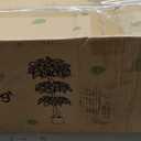 6ft Large Ficus Artificial Trees in White Pot, 72" Tall Fake Silk Tree with Natural Curved Trunk, Lush Faux Ficus Tree for Indoor Home Decor, Living Room, Office & Patio (Green)