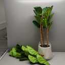 Artificial Fiddle Leaf Fig Tree with White Planter,5ft Tall Fake Tree with Natural Wood Trunk for Home Decor, Faux Ficus Tree Fake Moss for Indoor Office Living Room