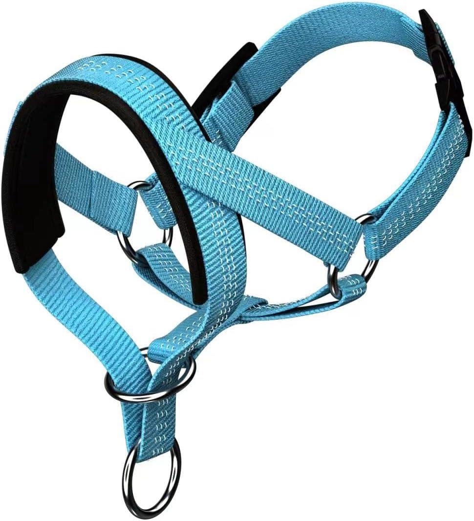 Dog Head Collar with Silk Thread, Soft and Adjustable Head Halter Collar for Small Medium Large Dogs in Striped Pattern(S,Blue)