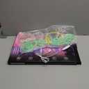 Merry Christmas Neon Sign for Home Wall Decor LED Believe Light up Sign USB Powered Xmas Lights Neon for Room Decor Bar Beer Club Party, Family Indoor Gifts Decorative