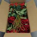 Hananona 50 Artificial Roses in Bulk, Fake Velvet Silk Burgundy Roses Realistic Red Roses for Wedding Centerpieces Flower Arrangement Home Decor (50, Burgundy)