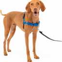PetSafe Easy Walk No-Pull Dog Harness - The Ultimate Harness to Help Stop Pulling - Take Control & Teach Better Leash Manners - Helps Prevent Pets Pulling on Walks, Medium, Royal Blue/Navy Blue