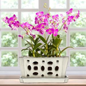 1 Set Orchid Pot with Holes and Saucers Ceramic Orchid Pot with Drainage for Repotting Amaryllis Flower Planter with Gardening Shovel Set and Gloves for Home Decor(White,9.5 Inch)